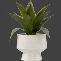 Artificial Aloe in Ceramic Pot