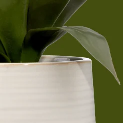 Artificial Aloe in Ceramic Pot