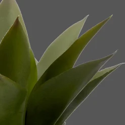 Artificial Aloe in Ceramic Pot