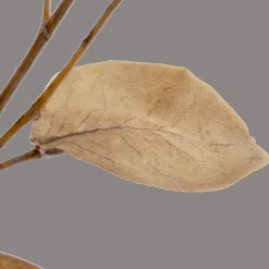 Artificial Eucalyptus Stem