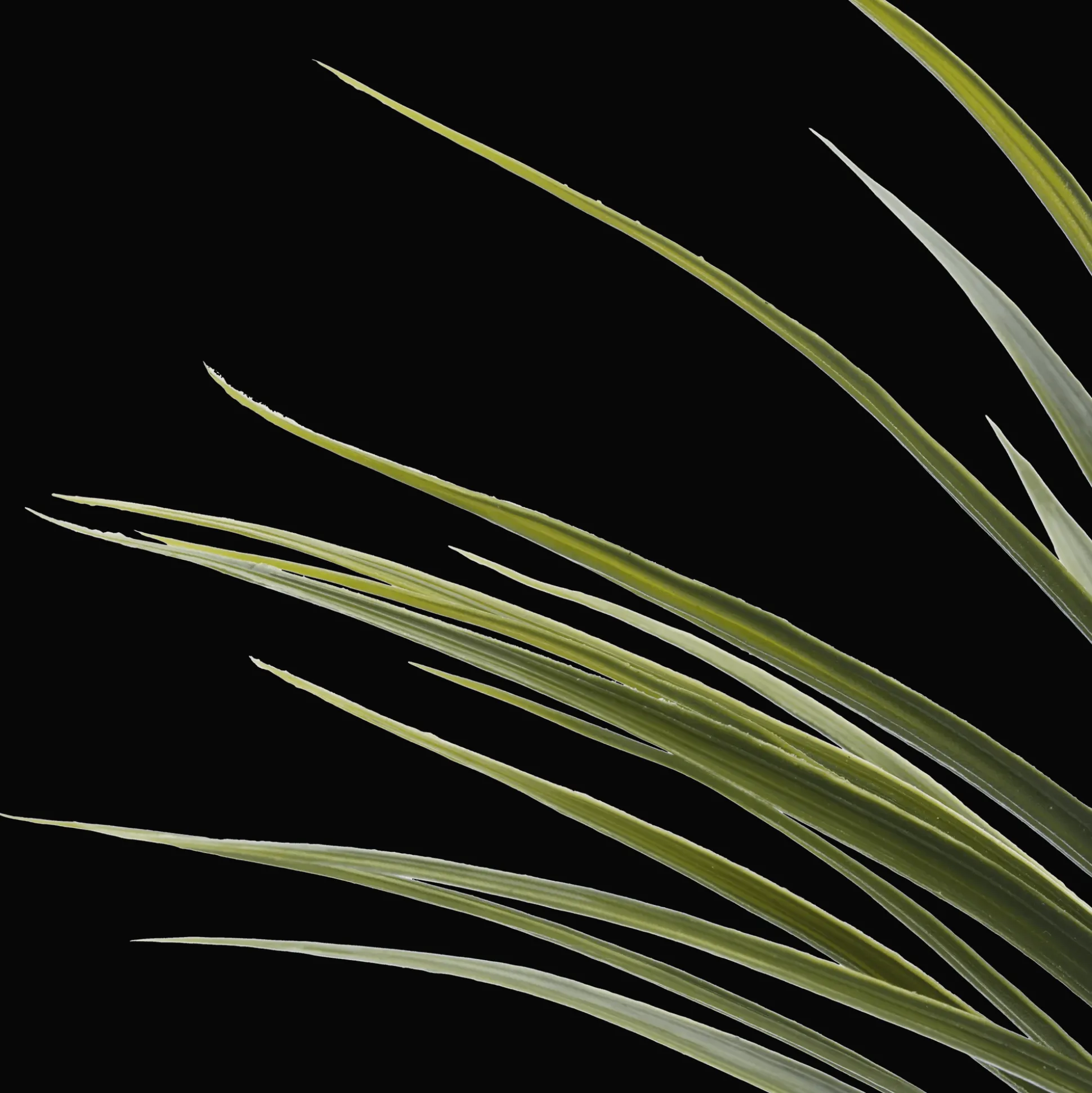 Artificial Exotic Floor Plant in White Pot