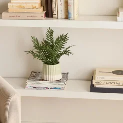 Artificial Fern in Ceramic Pot
