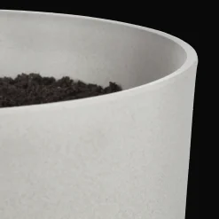 Artificial Ficus Tree