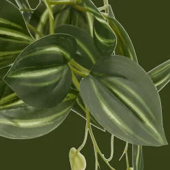 Artificial Fittonia in Wood Pot