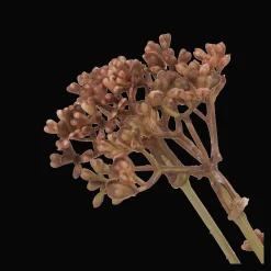 Artificial Hemlock Flower Stem