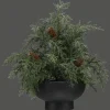 Artificial Juniper in Pot