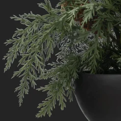 Artificial Juniper in Pot