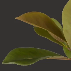 Artificial Magnolia Tree