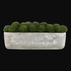 Artificial Moss in Cement Pot