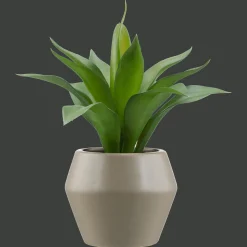Artificial Plant in a Pot