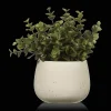 Artificial Plant in Beige Speckled Pot