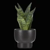 Artificial Plant in Black Matte Ceramic Pot