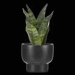 Artificial Plant in Black Matte Ceramic Pot