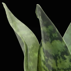 Artificial Plant in Black Matte Ceramic Pot