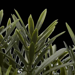 Artificial Plant in Ceramic Pot