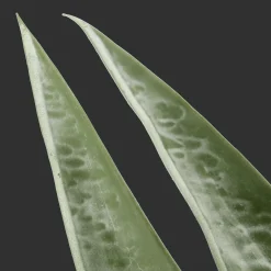 Artificial Plant in Ceramic Pot