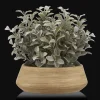 Artificial Plant in Ceramic Pot
