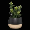 Artificial Plant in Colour-Block Pot
