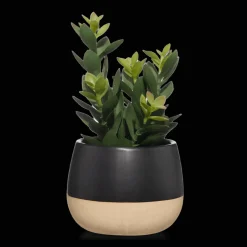 Artificial Plant in Colour-Block Pot