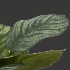 Artificial Plant in Striped Ceramic Pot