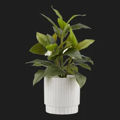 Artificial Plant in Striped Pot
