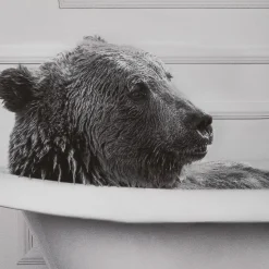 Bear in Bathtub Printed Framed Canvas