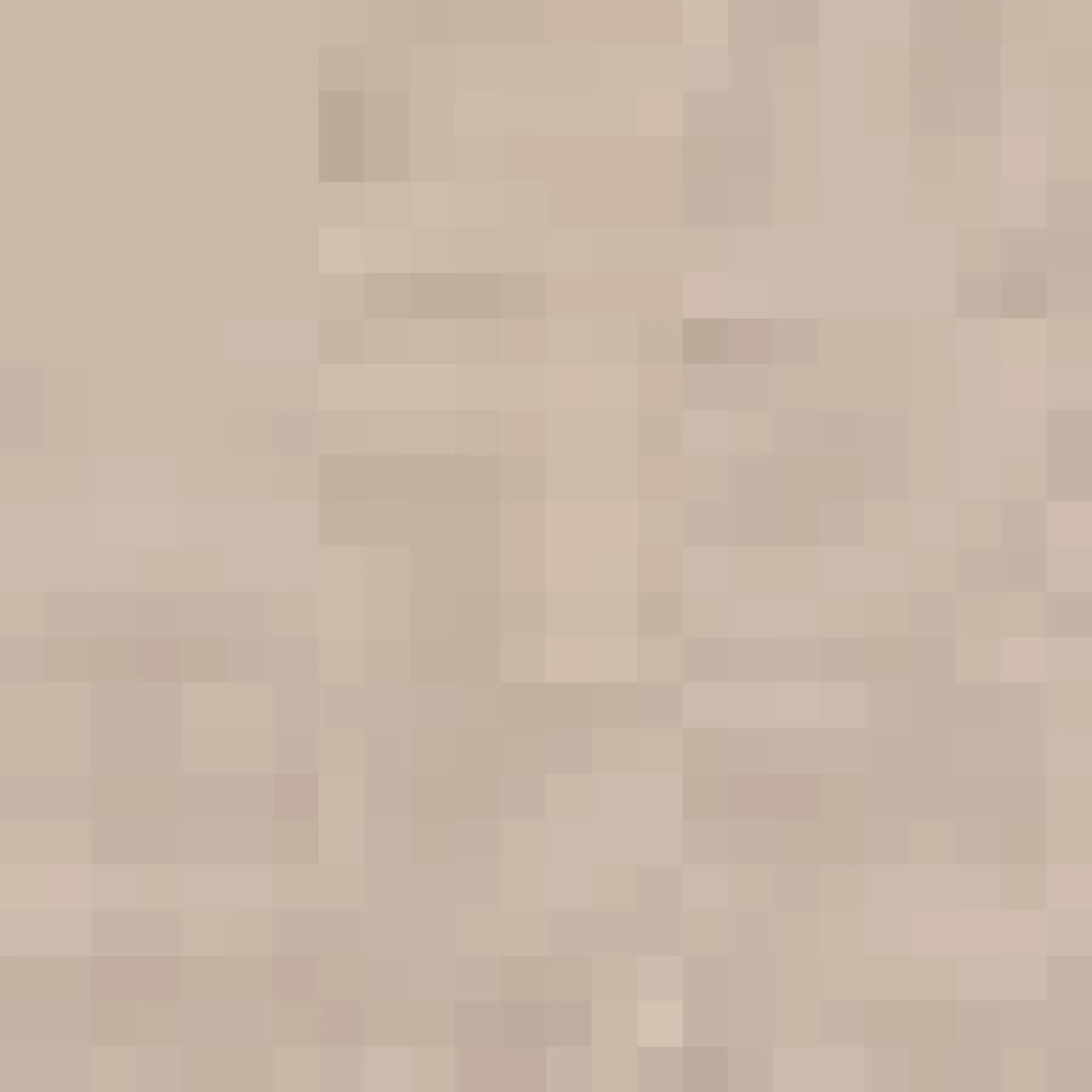 Beige Waverly Decorative Pillow