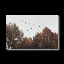 Birds over Fall Forest Printed Canvas