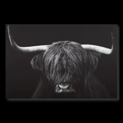 Black & White Highland Cow Printed Canvas