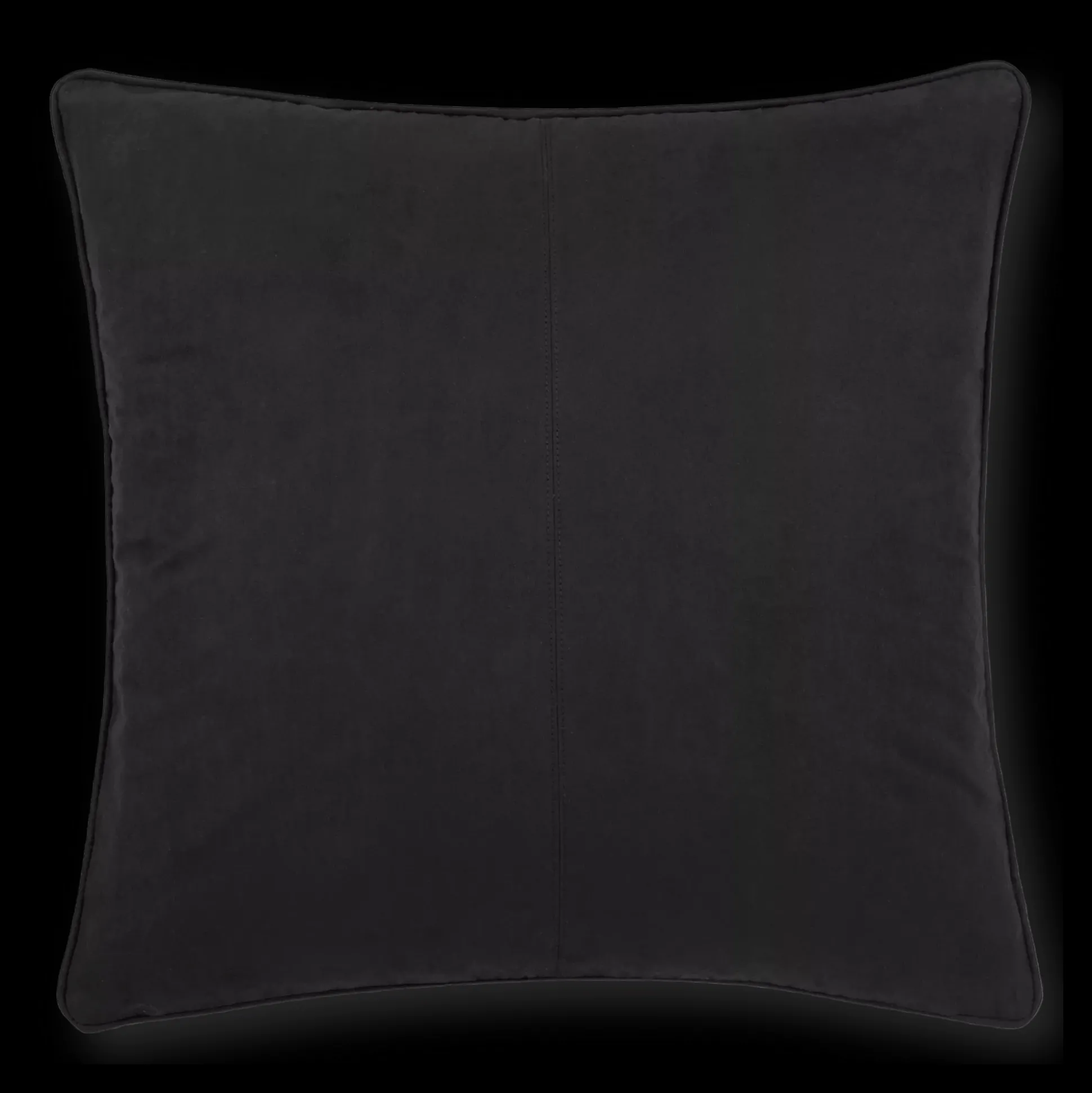 Black Clifford Decorative Pillow
