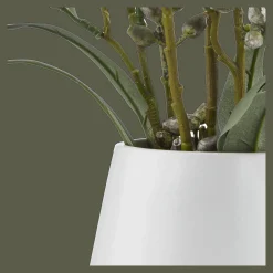 Blue Flowers in Ceramic Pot