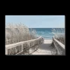 Boardwalk Printed Canvas