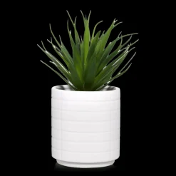 Ceramic Potted Tropical Plant