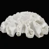 Decorative Coral
