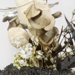 Decorative Stems in Glass Dome