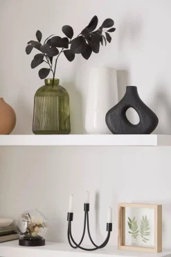 Decorative Stems in Glass Dome