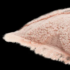 Delana Lumbar Throw Pillow