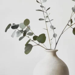 Eucalyptus in a Vase Framed Art