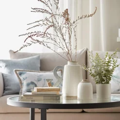 Eucalyptus in Ceramic Pot