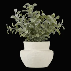 Eucalyptus Leaf Potted Plant