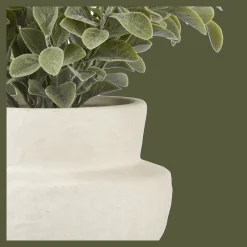 Eucalyptus Leaf Potted Plant