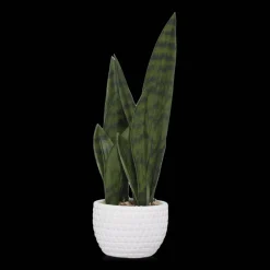 Faux Rattan Ceramic Pot with Artificial Plant