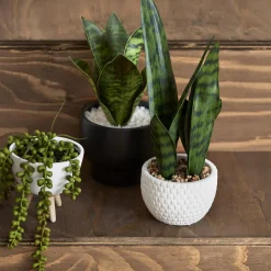 Faux Rattan Ceramic Pot with Artificial Plant