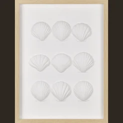 Framed Art 3D Shells