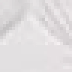 Framed Art 3D Shells