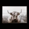Furry Highland Cow Framed Art