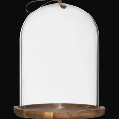 Glass Dome with Wood Base