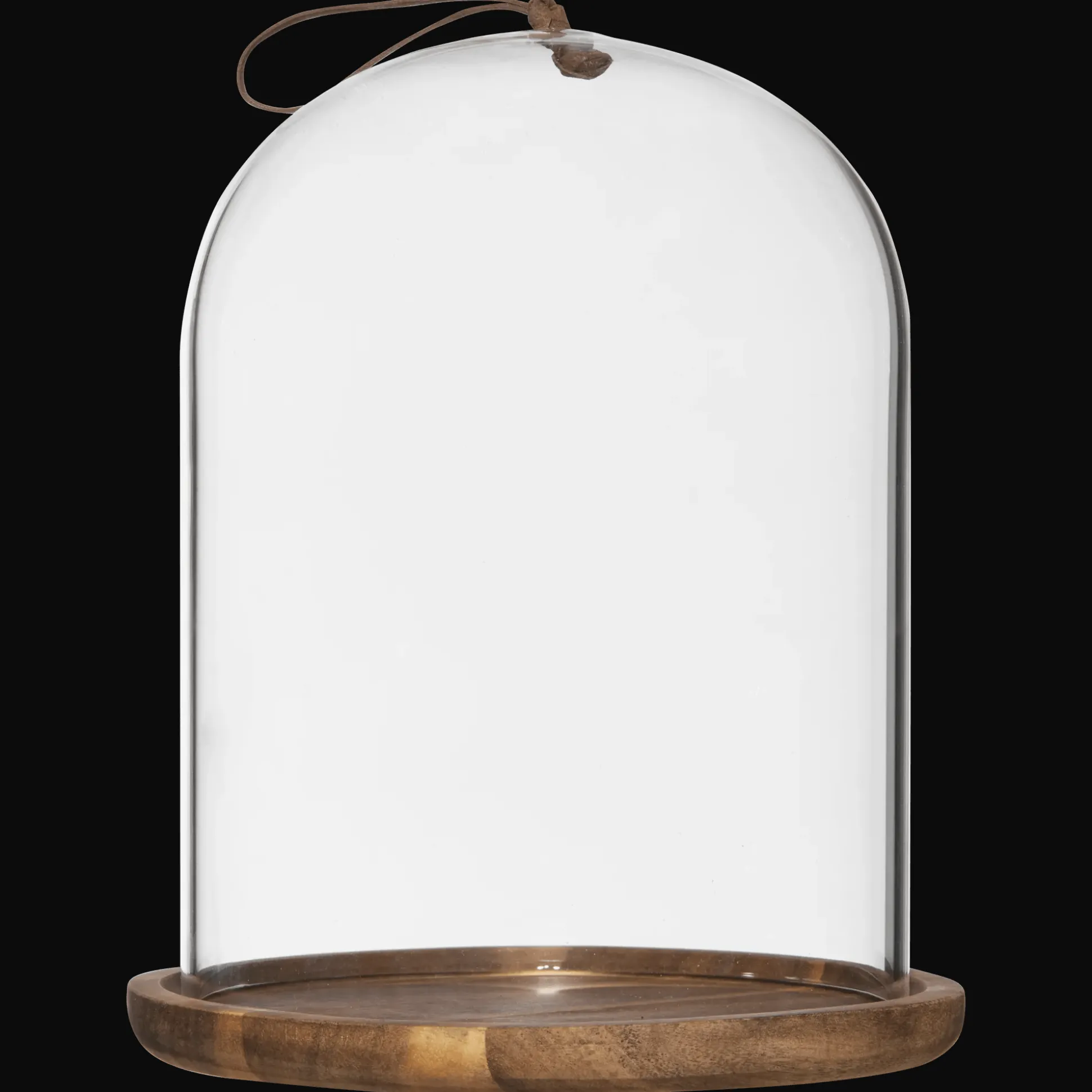 Glass Dome with Wood Base
