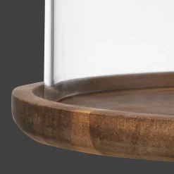 Glass Dome with Wood Base