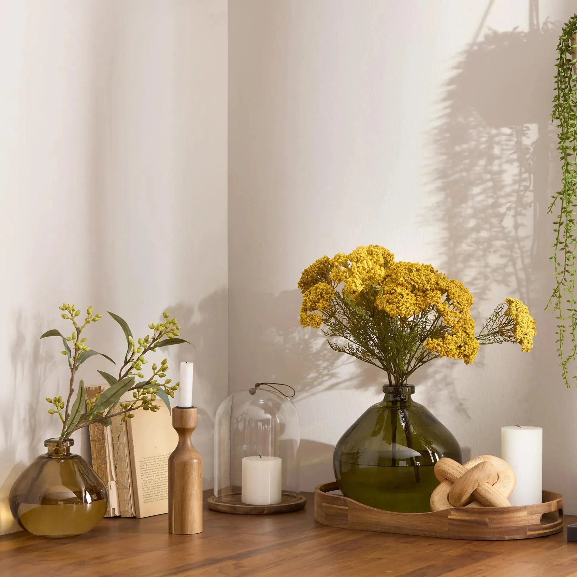 Glass Dome with Wood Base